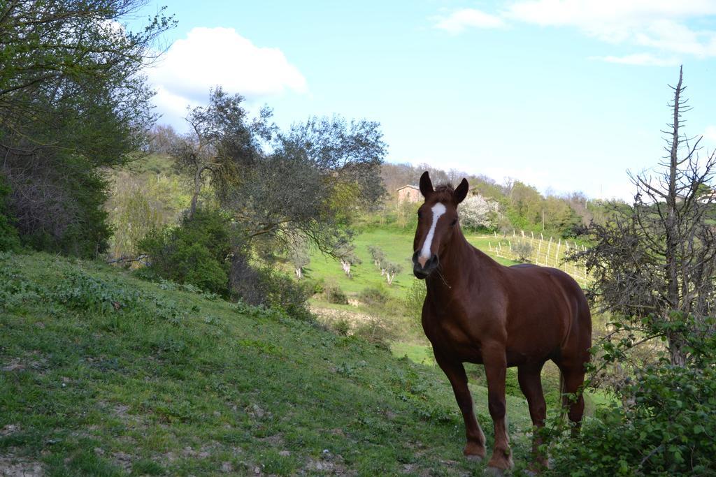 Agriturismo Marano Mengara Luaran gambar